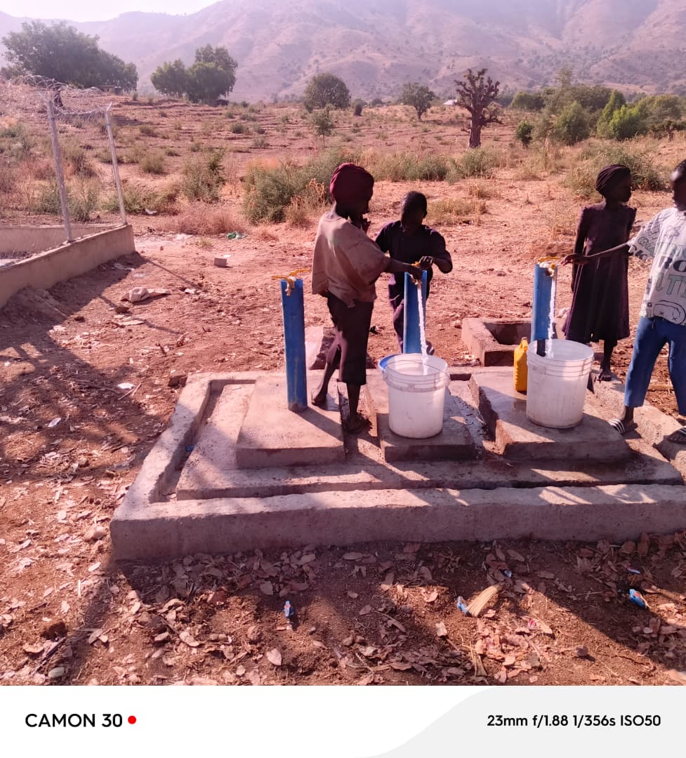 From Advocacy to Action: NEDC Delivers 100 Solar Street Lights and Water Access to Transform Sukur Kingdom, Adamawa State